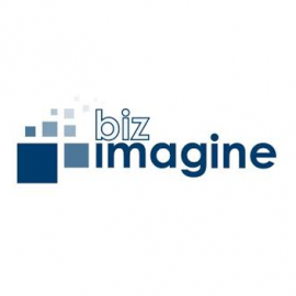 Logo-BIZImagine